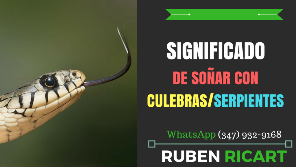 Que significa soñar con culebras o serpientes?