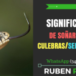 que significa sonar con serpientes o culebras imagen