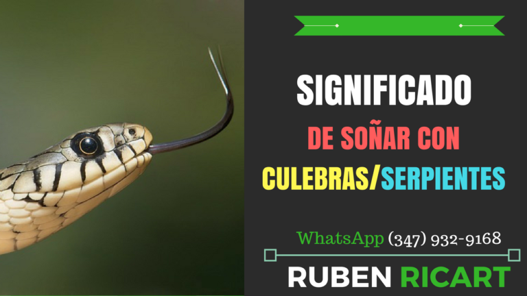 que significa sonar con serpientes o culebras imagen