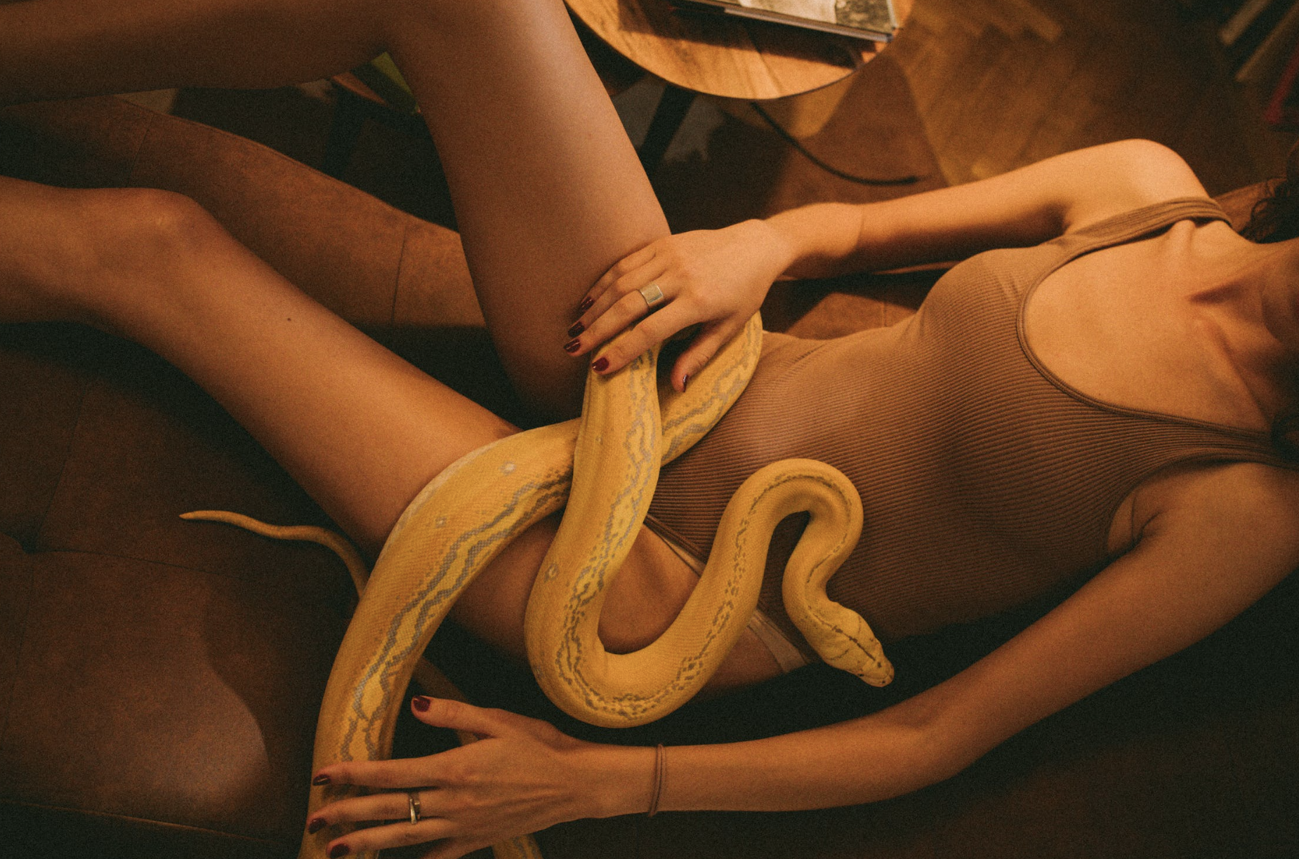 La serpiente en la cama tiene un significado. Imagen.